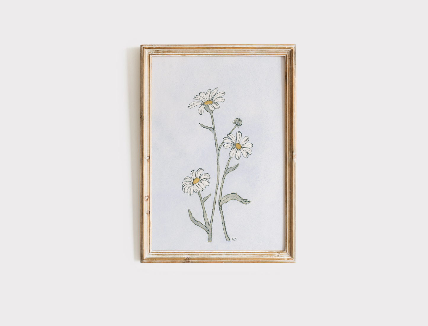 Daisies - Print