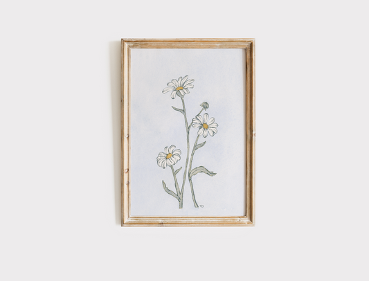Daisies - Print