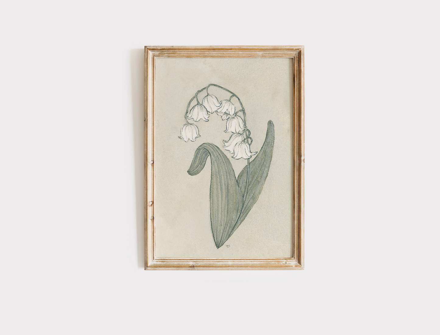 Lily of the Valley - Print