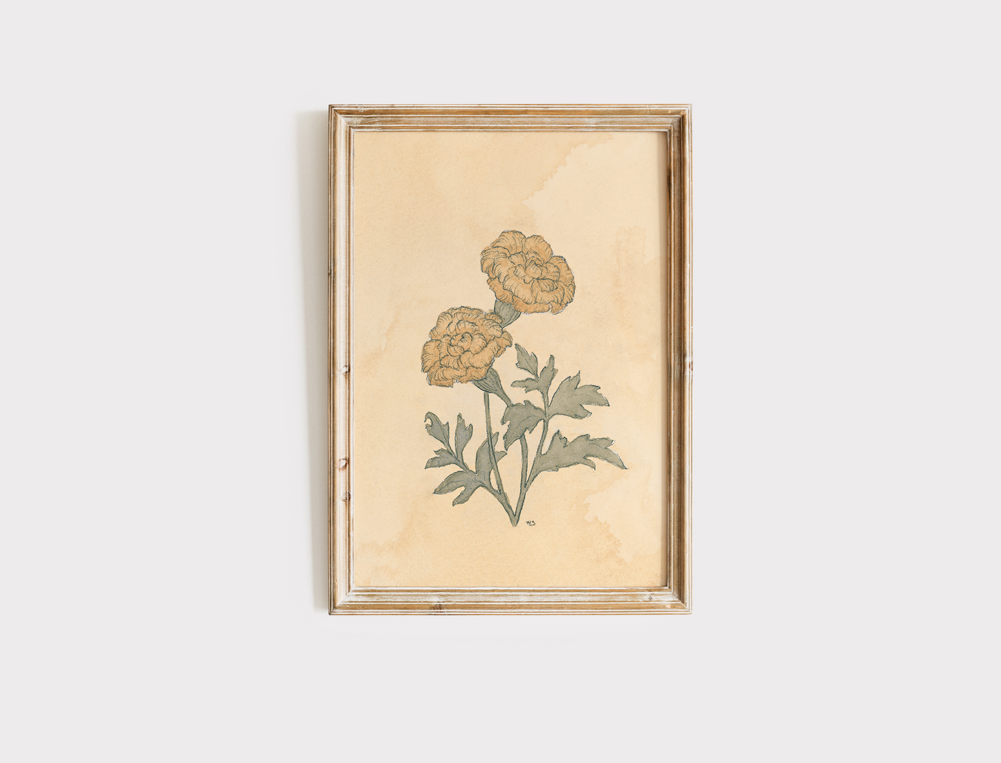 Marigold - Print
