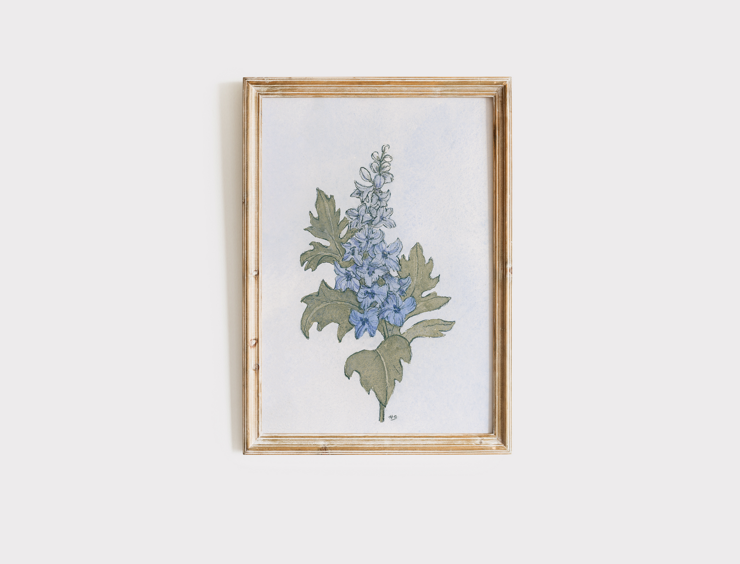 Larkspur - Print