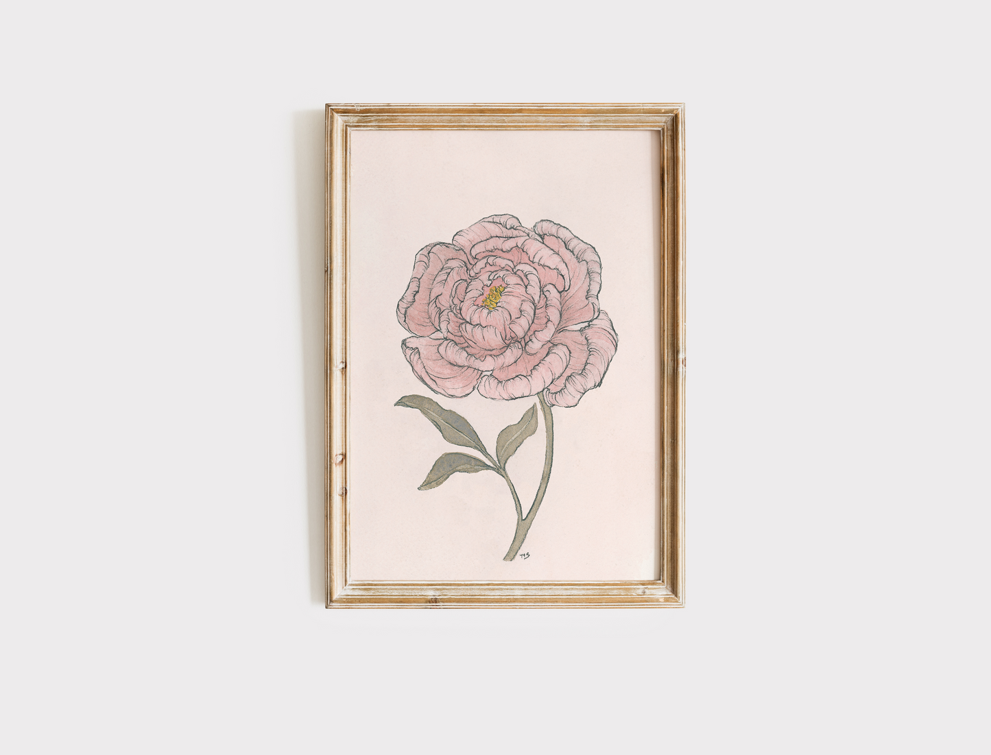 Peony - Print