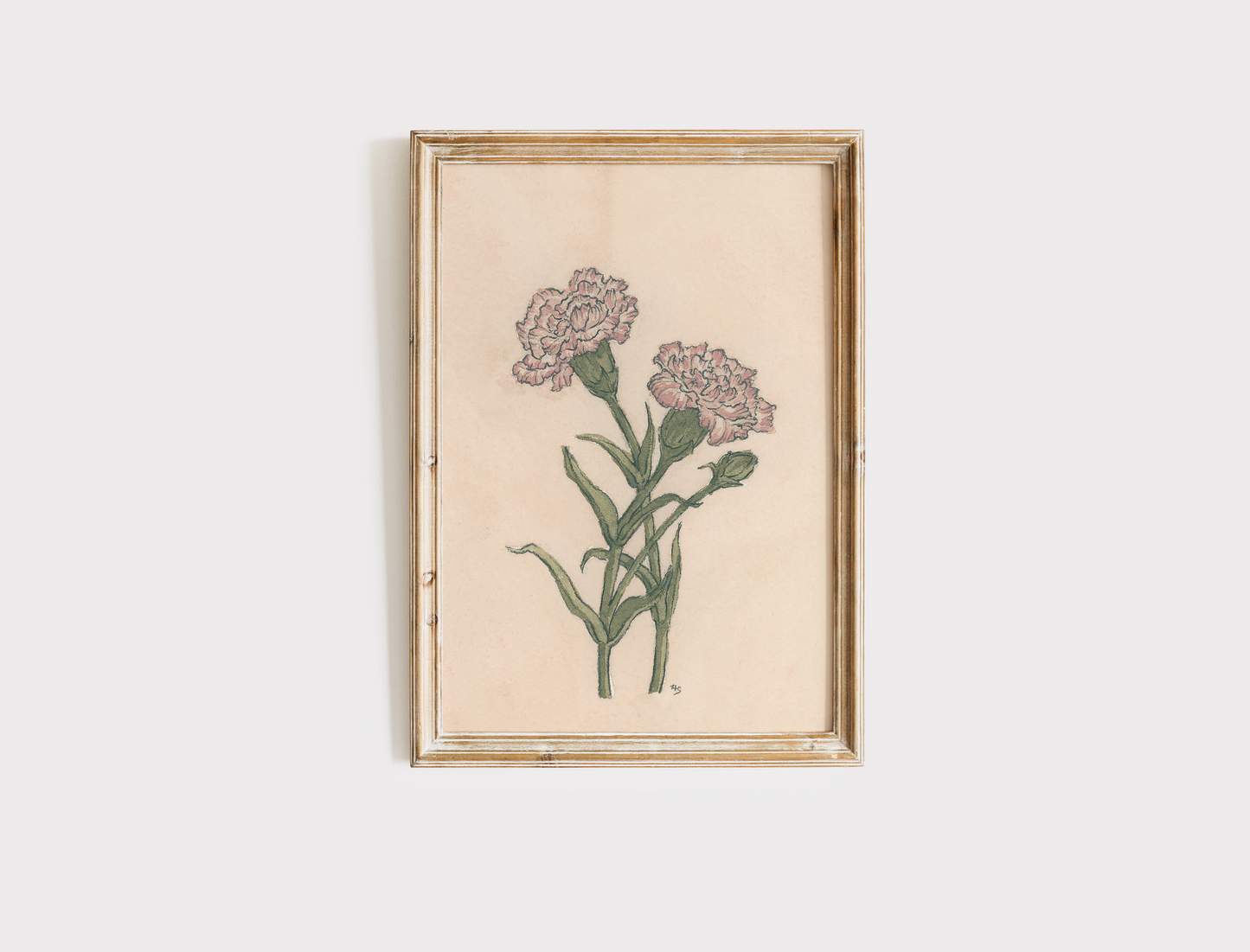 Carnations - Print